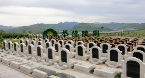 陵园风景图-6