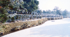 陵园风景图-4
