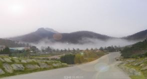 陵园风景图-3