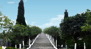 陵园风景图-2